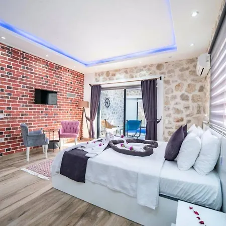 ヴィラ 1 Bedroom 1151
