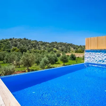 1 Bedroom 1151 Villa *